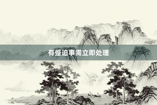 有蹙迫事需立即处理