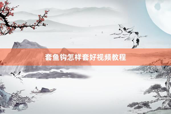 套鱼钩怎样套好视频教程