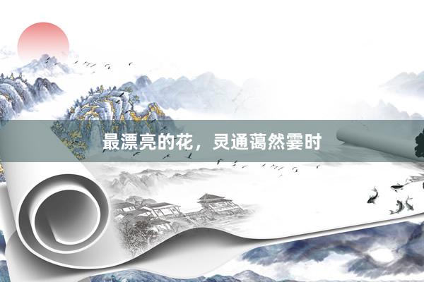 最漂亮的花，灵通蔼然霎时